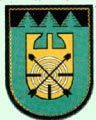 Centrinis poligonas