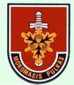 Mokomasis pulkas